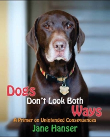Dogs Don't Look Both Ways front cover